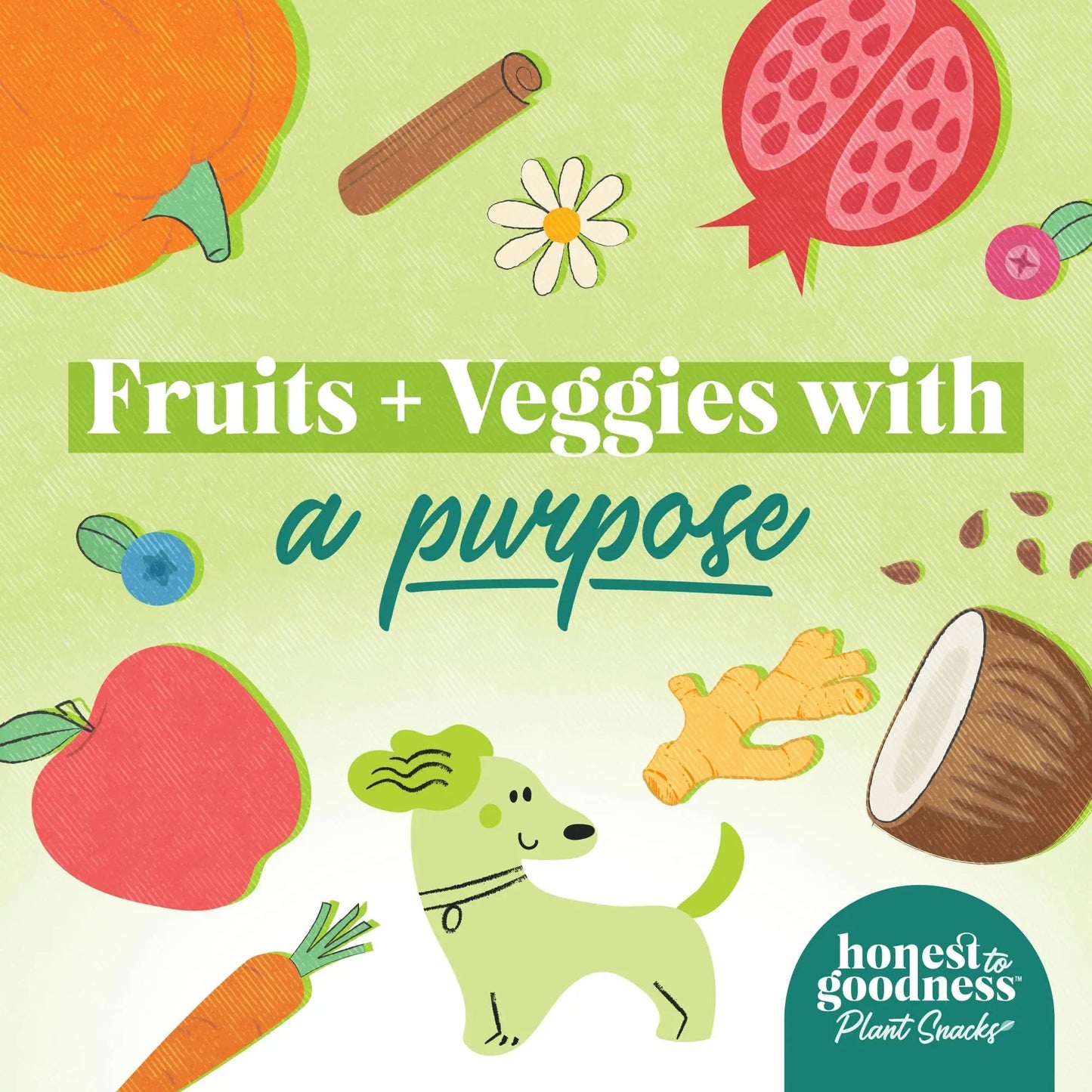 Honest to Goodness Plant Snacks Dog Treats, Enriched with Omega 3s & Postbiotics, 8oz Variety Pack, 6 Bags Honest to GoodnessBuy Supplements Australia