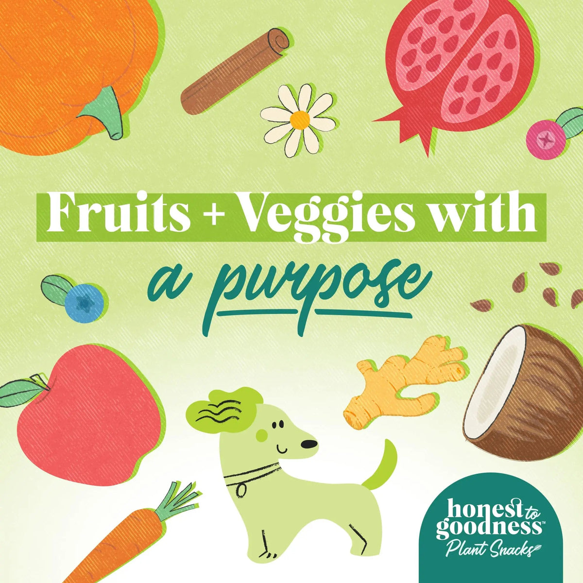 Honest to Goodness Plant Snacks Dog Treats, Enriched with Omega 3s & Postbiotics, 8oz Variety Pack, 6 Bags Honest to GoodnessBuy Supplements Australia