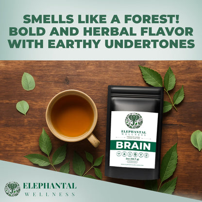 Elephantal Wellness Premium Brain Herbal Tea | Nootropic Focus & Mental Clarity with Ginkgo, Bacopa, Gotu Kola & Rosemary | Non-GMO, Caffeine-Free Coffee Alternative, Handmade Loose Leaf Blend, 2oz Loose Leaf, 20 Servings Elephantal WellnessBuy Supplements Australia