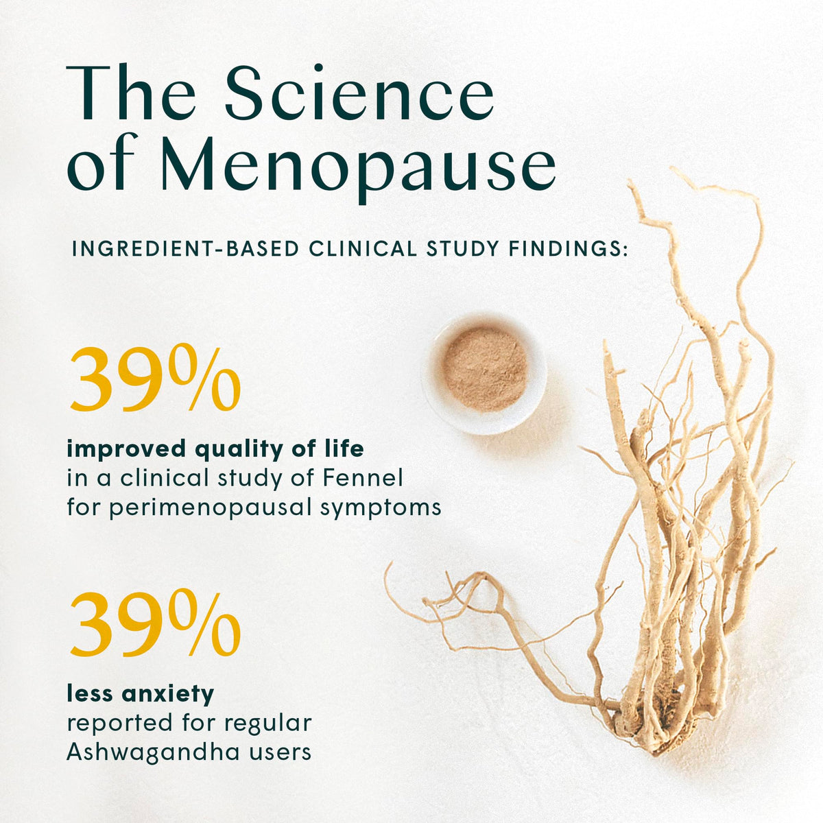 Wile Perimenopause Supplement for Women with Ashwagandha, Kudzu Root, Hops Extract WILEBuy Supplements Australia