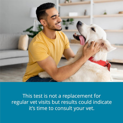 Petivity At-Home Oral Health Test for Cats & Dogs — 10-Second Dental Check Kit by Purina — Simple Saliva Swab to Detect Bad Breath & Gum Issues - (Pack of 1) petivityBuy Supplements Australia