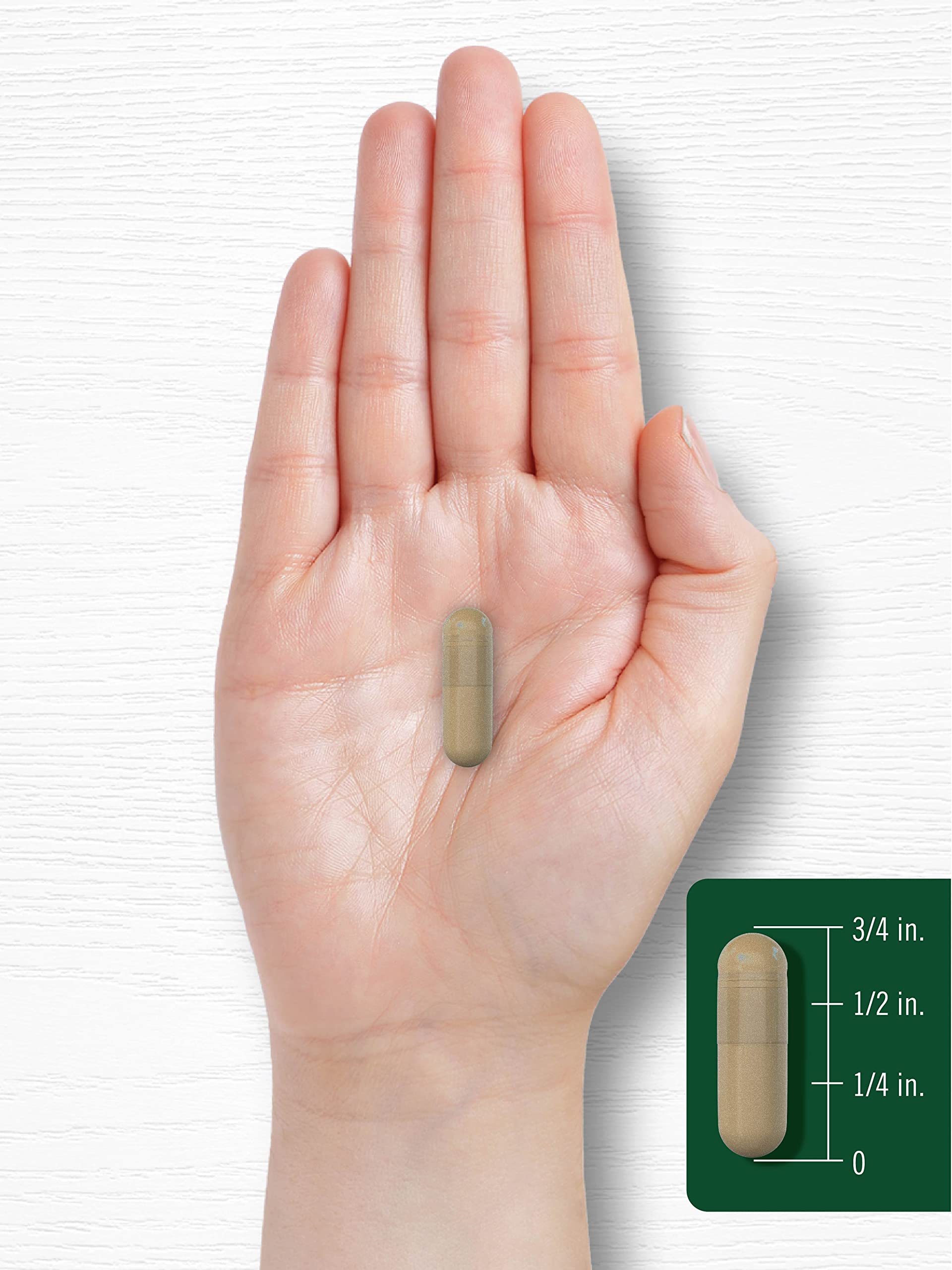 Carlyle Cayenne Pepper Capsules 600mg | 350 Pills | Non-GMO, Gluten Free Supplement CarlyleBuy Supplements Australia