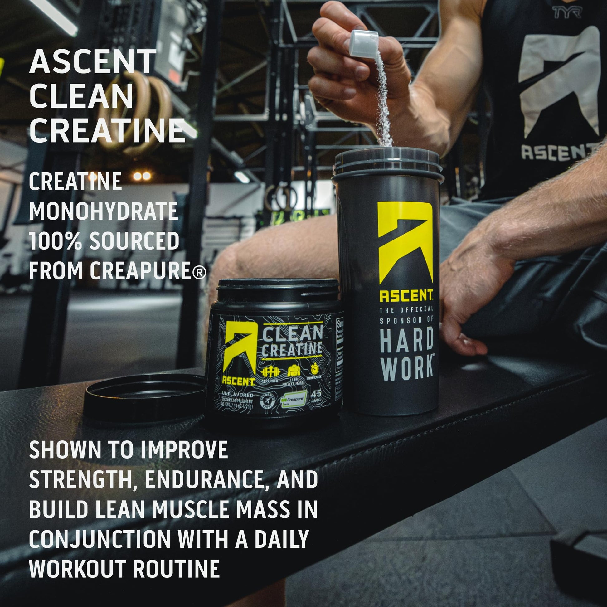 Ascent Clean Creatine Monohydrate Powder - 5G Per Serving, Creapure Creatine Supple AscentBuy Supplements Australia