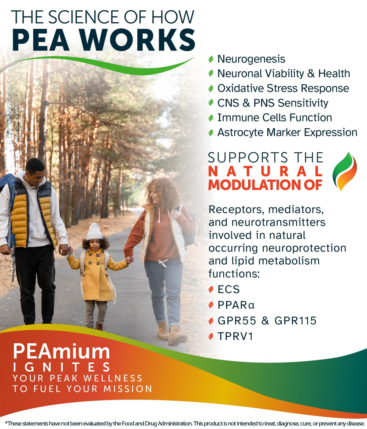 Palmitoylethanolamide 450mg Comfort Mobility Nerves Cognitive & Immune Support - Micronized High Absorption - All Natural Pea - USA Made - No Additives or Excipients – 60 Vegan Capsules Supplement Awakened.energyBuy Supplements Australia