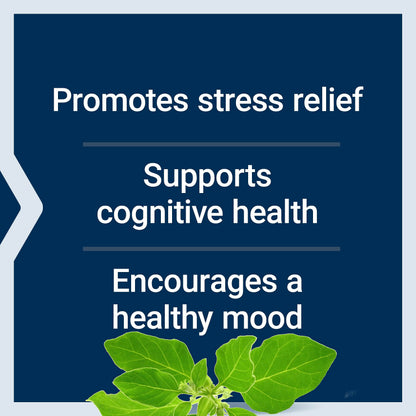 Life Extension Optimized Ashwagandha - Stress Management Supplement for a Healthy Stress Response, Focus, Memory, Stress Relief - Vegetarian, Gluten-Free, Non-GMO, 60 Capsules Life ExtensionBuy Supplements Australia