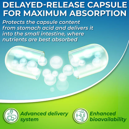 Optimal DIM 200mg Supplement for Women and Men - Made with Organic Whole Foods - Estrogen & Hormone Balance Support Diindolylmethane Complex - Maximum Absorption Delayed-Release Capsules - 60 Count SUPPLEMENTS STUDIOBuy Supplements Australia
