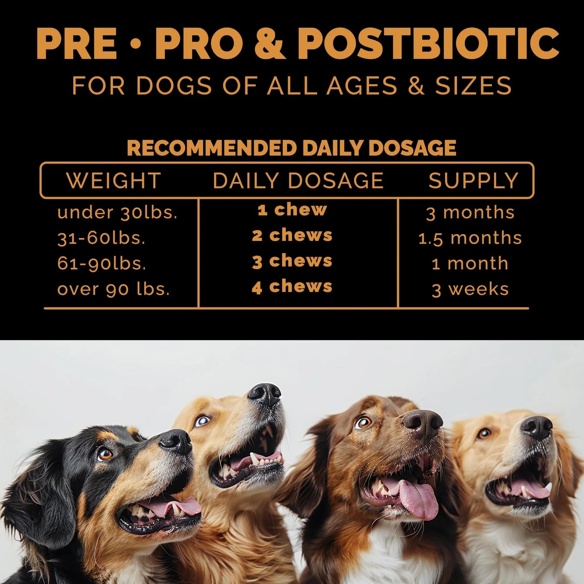 Pet Theory Probiotics for Dogs. Dog Digestive Health-Pre Pro and Postbiotic Combination-Pet Supplements for Gut Health-Supports Digestion, Boost Immunity-100CT Soft Chews Pet TheoryBuy Supplements Australia