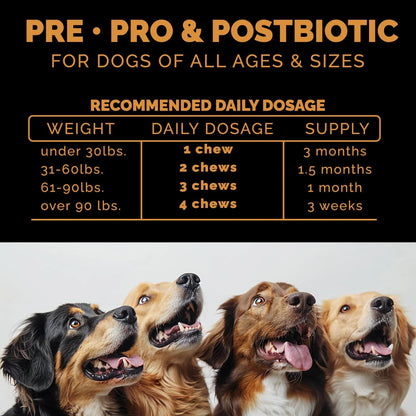 Pet Theory Probiotics for Dogs. Dog Digestive Health-Pre Pro and Postbiotic Combination-Pet Supplements for Gut Health-Supports Digestion, Boost Immunity-100CT Soft Chews Pet TheoryBuy Supplements Australia