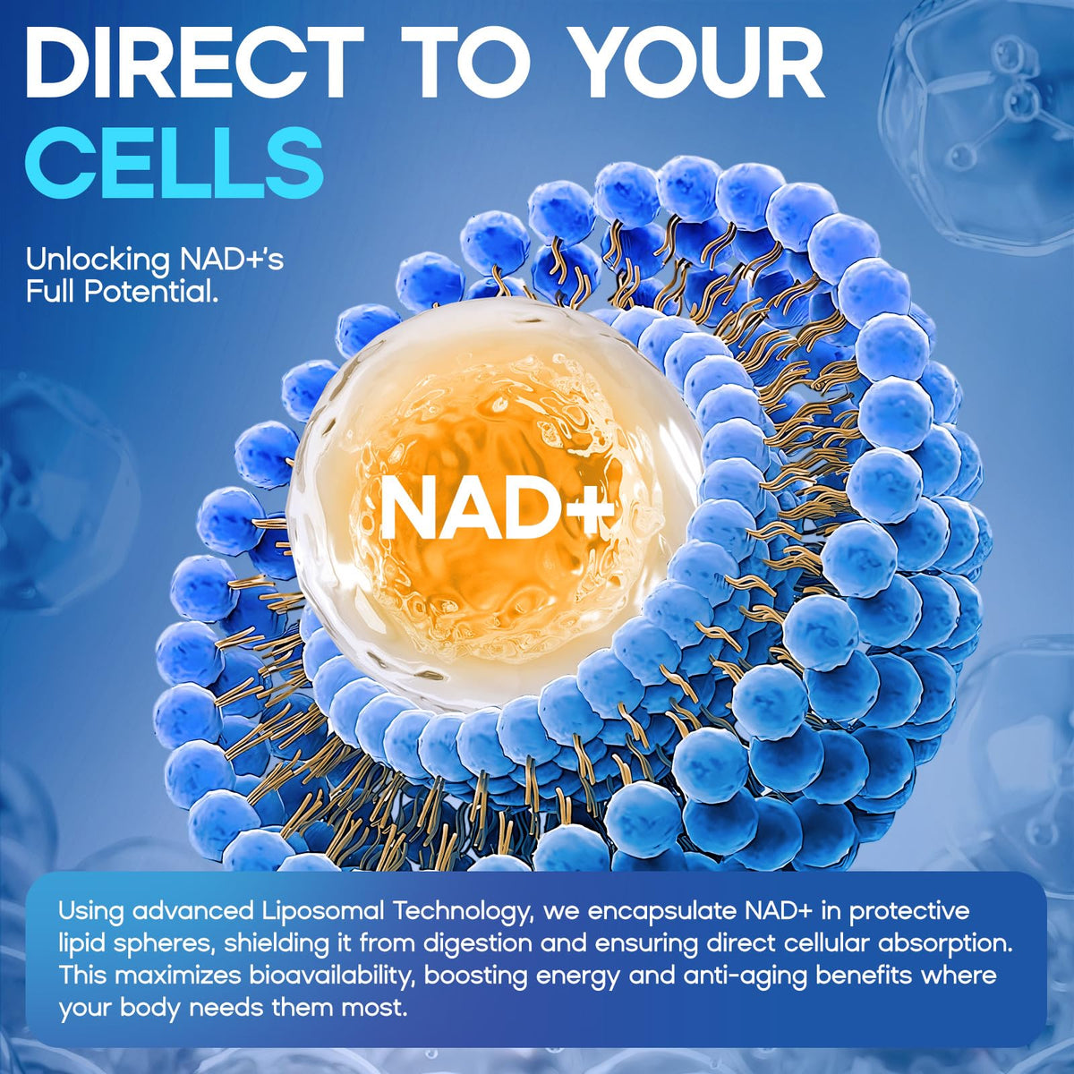 Liposomal NAD Liquid Supplement - 1500mg NAD+ Drops for Women & Men with Resveratrol & Nicotinamide Riboside, PQQ, Collagen & Turmeric for Anti-Aging & Longevity, Cellular Energy Health, 2 Fl Oz loiomayBuy Supplements Australia