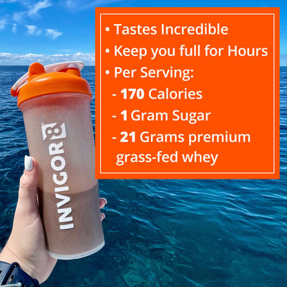 INVIGOR8 Superfood Grass Fed Whey Protein Isolate Shake Chocolate Brownie Gluten INVIGOR8Buy Supplements Australia