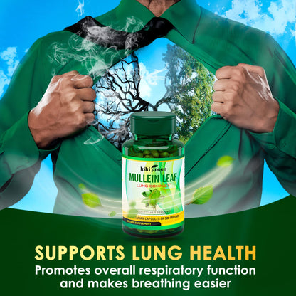 KIKI Green Mullein Leaf Extract Capsules - Herbal Respiratory Supplement - for Lung Cleans KIKI GreenBuy Supplements Australia