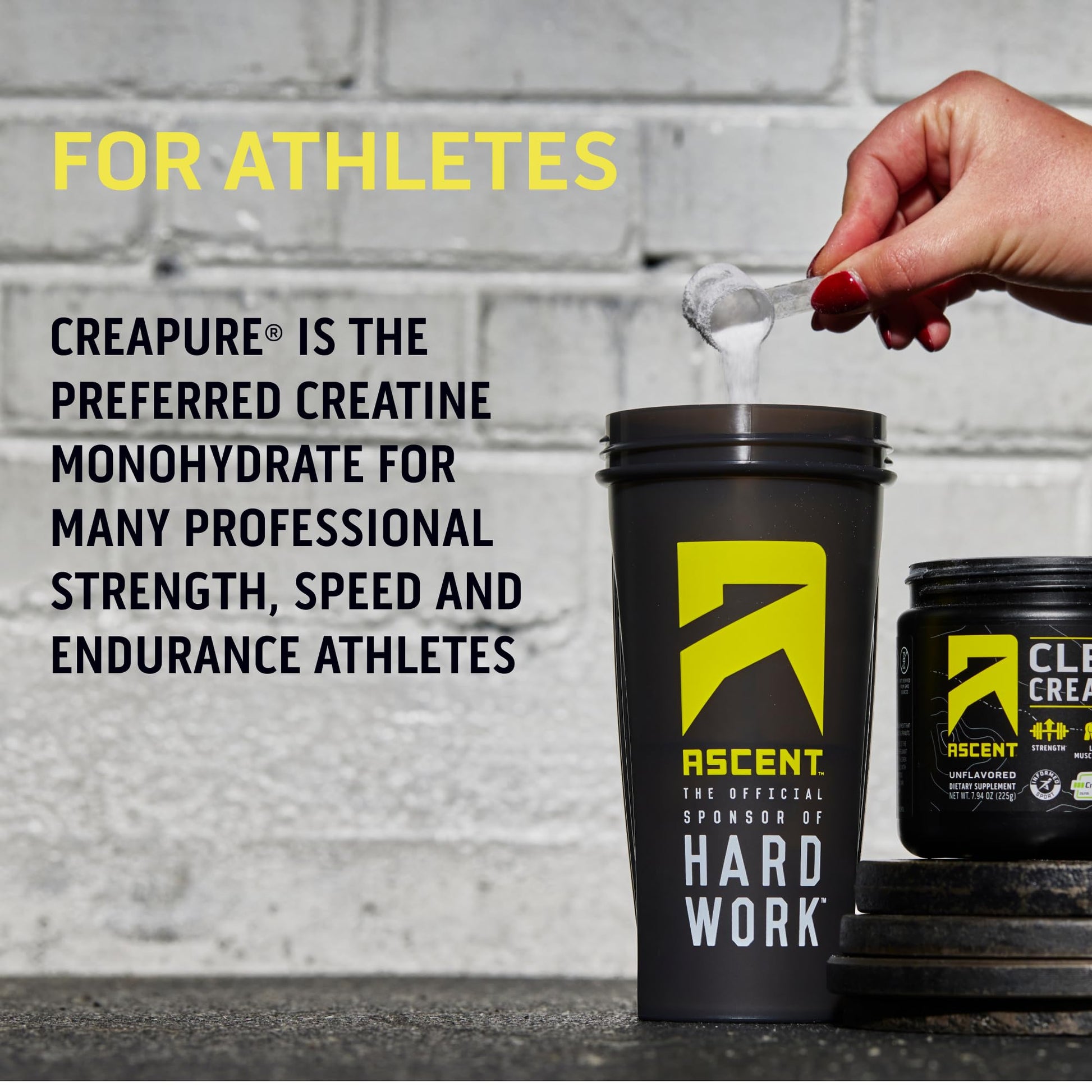 Ascent Clean Creatine Monohydrate Powder - 5G Per Serving, Creapure Creatine Supple AscentBuy Supplements Australia