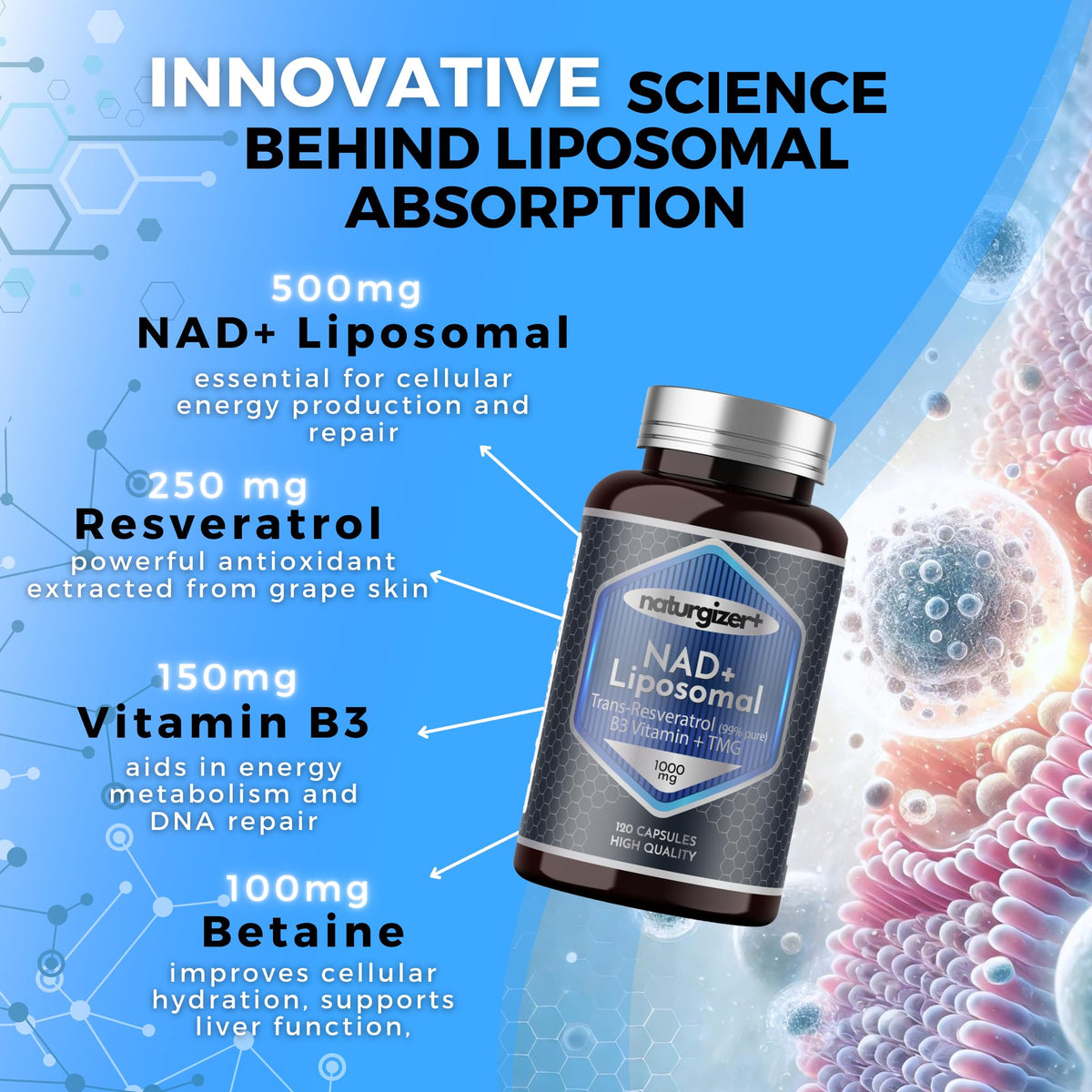naturgizer+ Liposomal NAD+ Supplement with Resveratrol, TMG & Vitamin B3 | 4-in-1 Healthy Aging & Cellular Energy Support | High Absorption NAD Plus for Men & Women Over 40 | 120 Capsules naturgizer+Buy Supplements Australia