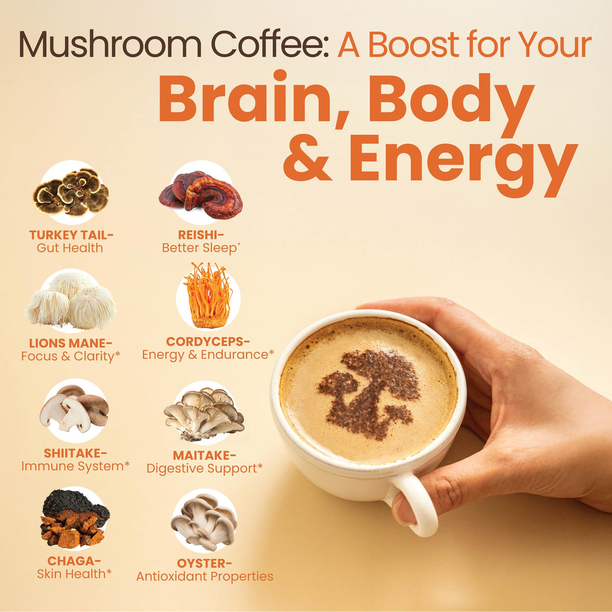 Focus Coffee Mushroom Blend, Nootropic Complex Coffee, Supports Alertness and Clarity, (Lion’s Mane, Cordyceps, Turkey Tail) Green Coffee Bean Instant Coffee for Focus & Gut Health, 30 Servings Rapid FireBuy Supplements Australia
