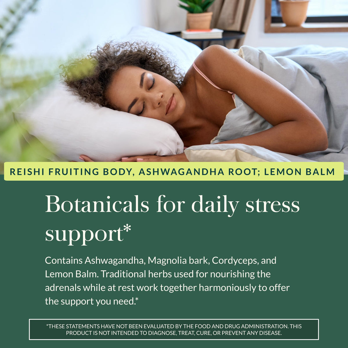 Gaia Herbs Adrenal Health Nightly Restore - Herbal Supplement with Ashwagandha, Magnolia Bark, Cordyceps, Lemon Balm & More* - 60 Vegan Liquid Phyto-Caps (30 Servings) Gaia HerbsBuy Supplements Australia