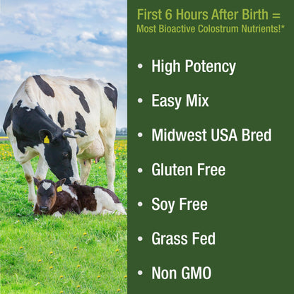 First Milking Colostrum Powder from Grass Fed USA Cows Milked Within 6 Hours of Giving Birth to Get the Most Bioactive Nutrients. High Immunoglobulin Non-GMO Bovine Colostrum Supplement for Humans Peak PerformanceBuy Supplements Australia
