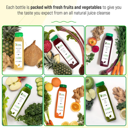 Raw Fountain 1 Day Juice Cleanse, All Natural Detox Cleanse, Cold Presssed Fruit Raw FountainBuy Supplements Australia