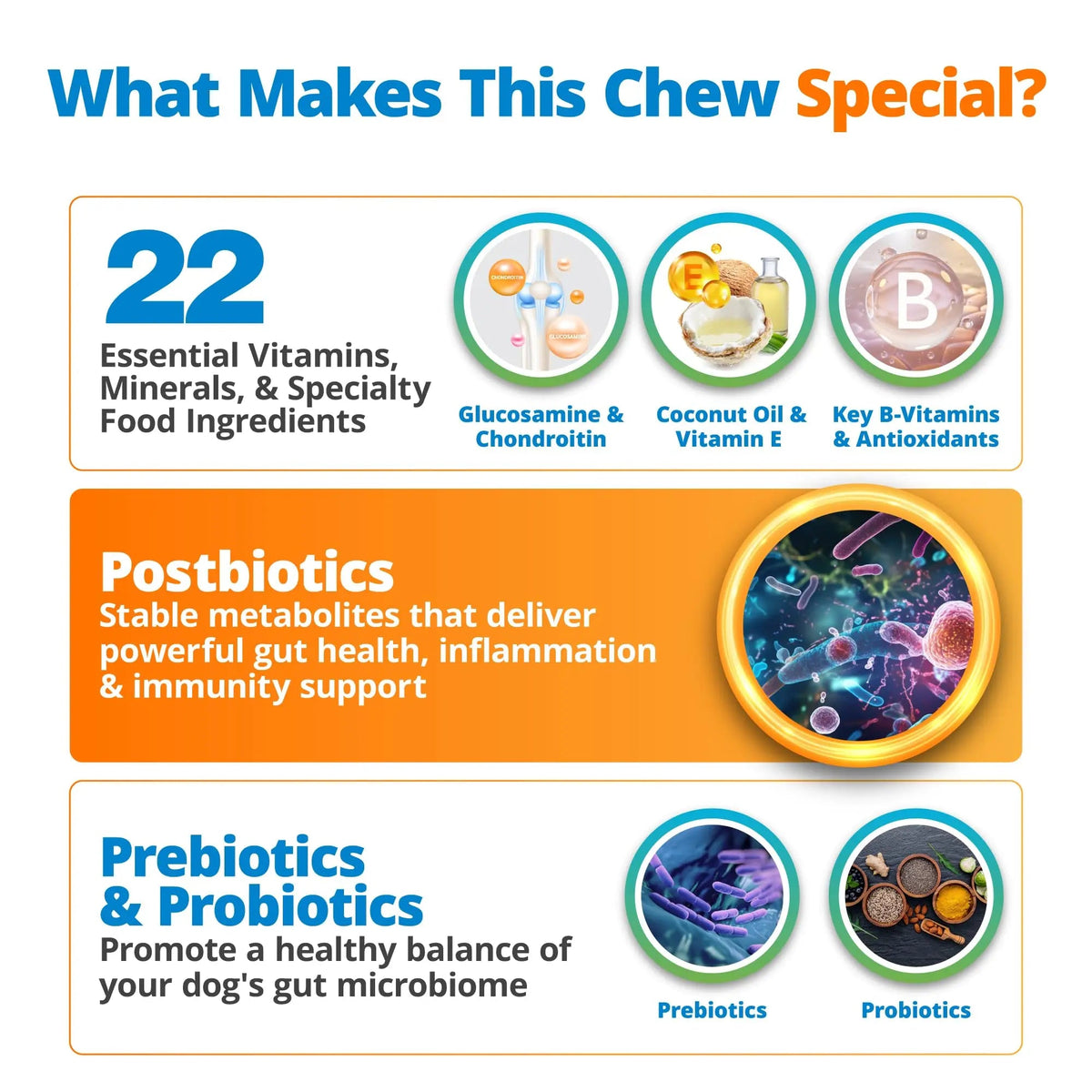 5Strands Dog Multivitamin Chews, 10-in-1, Vitamins & Postbiotics, All Ages & Breeds - Digestion, Brain, Organs, Heart, Mobility, Vision, Skin & Coat, Immunity - Dog Supplement (Peanut Butter, 90ct) 5StrandsBuy Supplements Australia