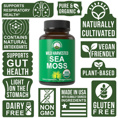 Organic Sea Moss Capsules. Wild Harvested Sea Moss Raw Organic Vegan Supplement from Red Algae Seaweed. 100% Whole Extract Raw Irish SeaMoss Superfood Pills. for Gut, Respiratory, Immune Support. Peak PerformanceBuy Supplements Australia