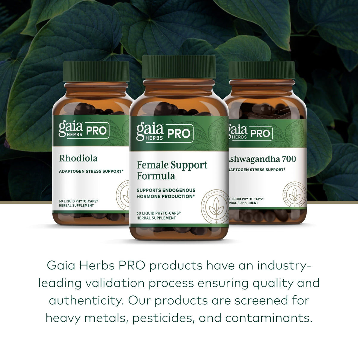 GAIA HERBS PRO Female Support Formula - Supports Healthy PMS & Menopause Fluctuations with Alfalfa Leaf, Black Cohosh Root Extract, Dandelion Root & More* - Vegan - 60 Liquid Phyto-Caps (60 Servings) Gaia Herbs PROBuy Supplements Australia