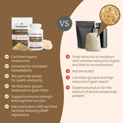 Real Mushrooms Lion’s Mane Powder - Organic Lions Mane Mushroom Extract Real MushroomsBuy Supplements Australia