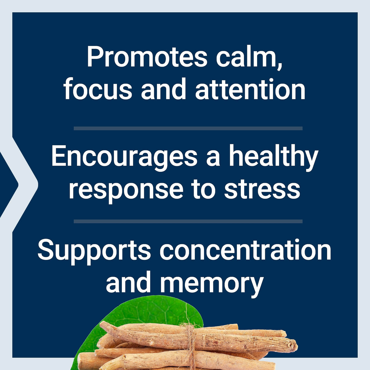 Life Extension Ashwagandha Plus Calm & Focus, ashwagandha Extract, Spearmint Extract, Focus, Attention, Relaxation, Advanced Formula, 60 Vegetarian Capsules Life ExtensionBuy Supplements Australia