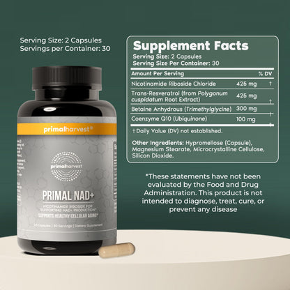 Primal Harvest NAD+ Supplement: Nicotinamide Riboside, Trans-Resveratrol, Betaine, CoQ10, NAD Supplements for Cellular Health, Energy, and Mitochondrial Support Primal HarvestBuy Supplements Australia