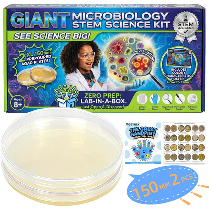 Giant Microbiology Bacteria Science Kit for Kids:2 XL 150mm Prepoured Nutrient Agar Plates, Petri Dishes with Agar & Colony Characteristics Poster for School Projects & Educational Gifts MosynexBuy Supplements Australia