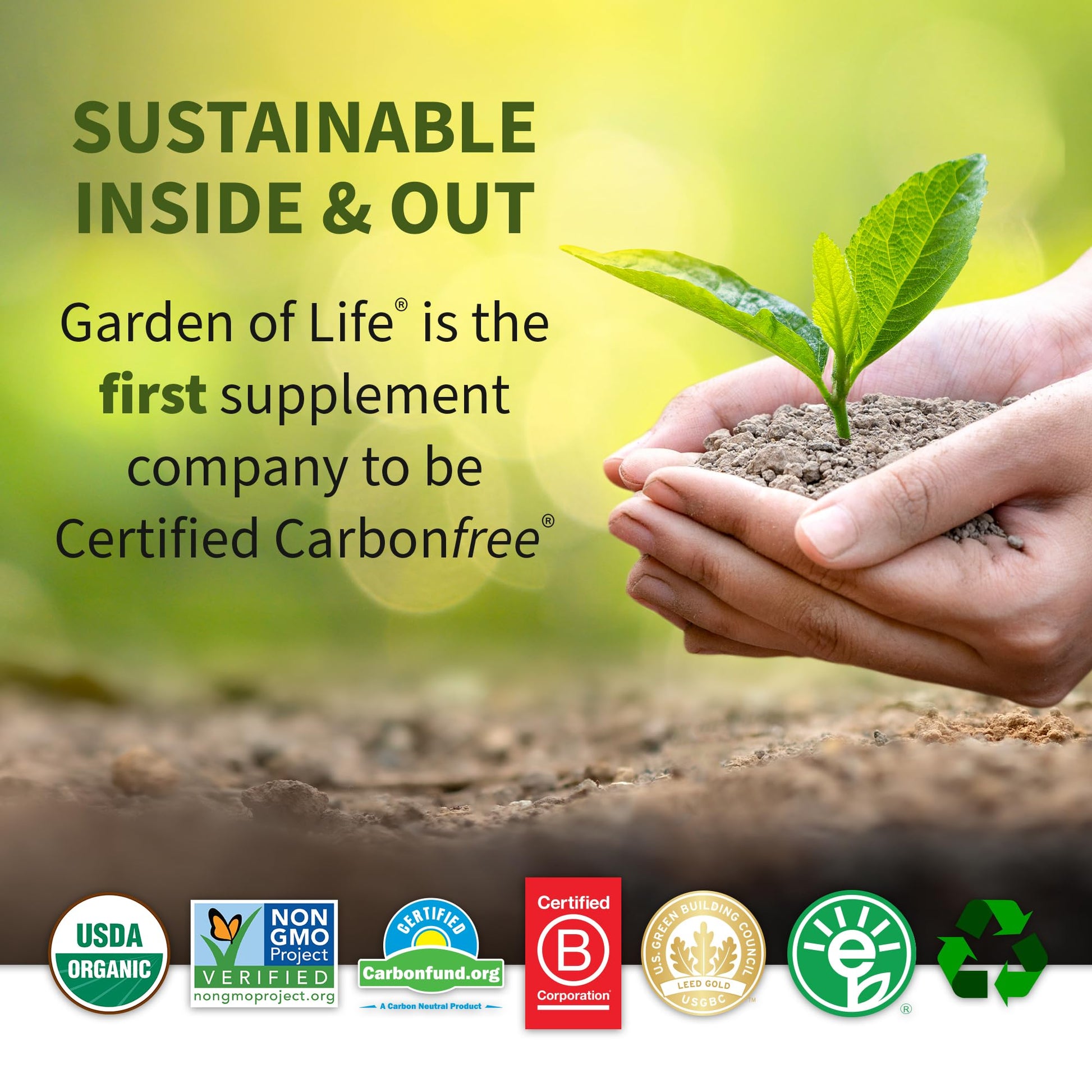 Garden of Life Organic Plant Protein Smooth Chocolate Powder, 10 Servings - Vegan, Grain Garden of LifeBuy Supplements Australia