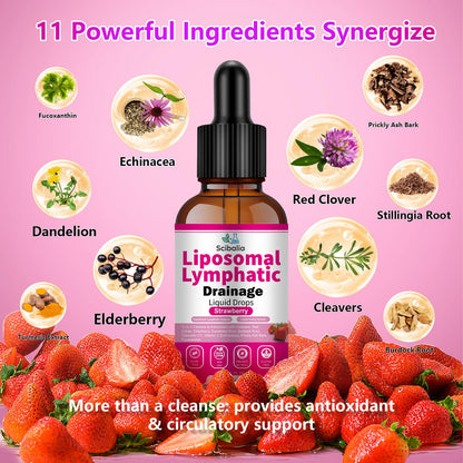 Scibalia Liposomal Lymphatic Drainage Drops, 11-in-1 Organic Lymphatic Support with Red Clover Echinacea Elderberry Burdock Root for Lymph Cleanse Immune Support & Daily Detox Vegan Non-GMO Scibalia buy supplements Au