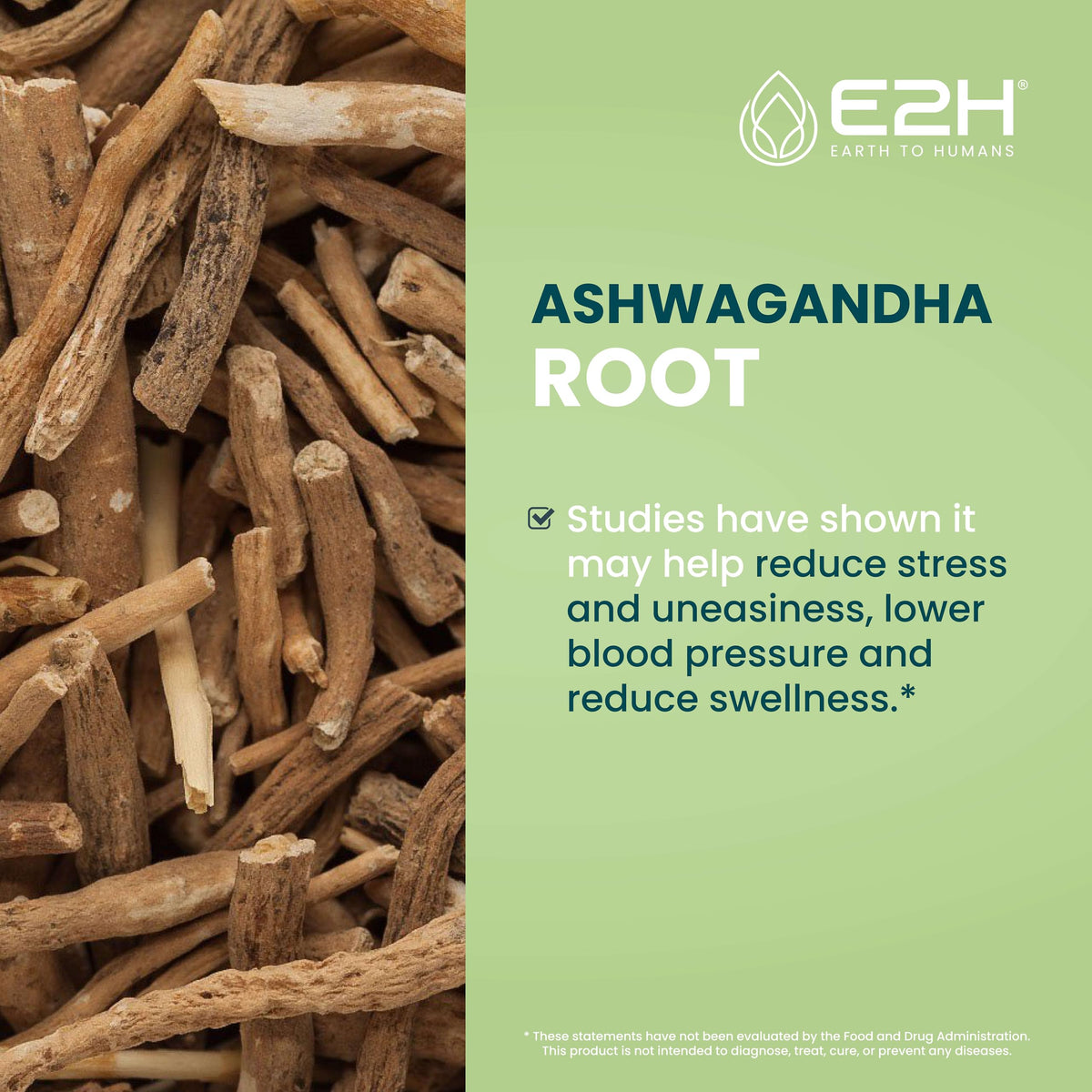 E2H Ashwagandha Liquid Drops - All-Natural Ashwagandha Supplement for Stress Relief and Mood Enhancer- Organic Ashwagandha Root Extract Effective Cortisol Manager | Non-GMO, Vegan | 2 Fl Oz E2H EARTH TO HUMANSBuy Supplements Australia