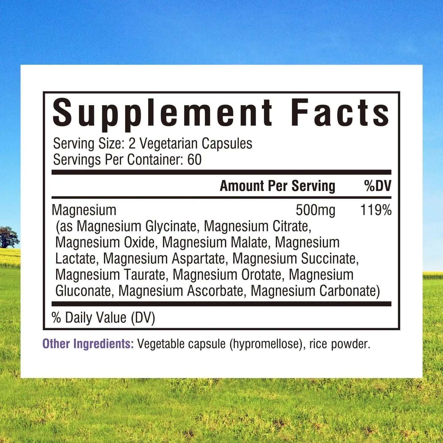 Innate Vitality 12-in-1 Magnesium Complex, 500 mg Elemental Mag, with Magnesium Glycinate Malate Taurate Aspartate & More, Innate Vitality canada supplements