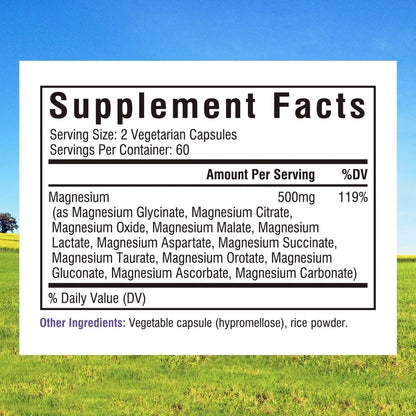 Innate Vitality 12-in-1 Magnesium Complex, 500 mg Elemental Mag, with Magnesium Glycinate Malate Taurate Aspartate & More, Innate Vitality canada supplements