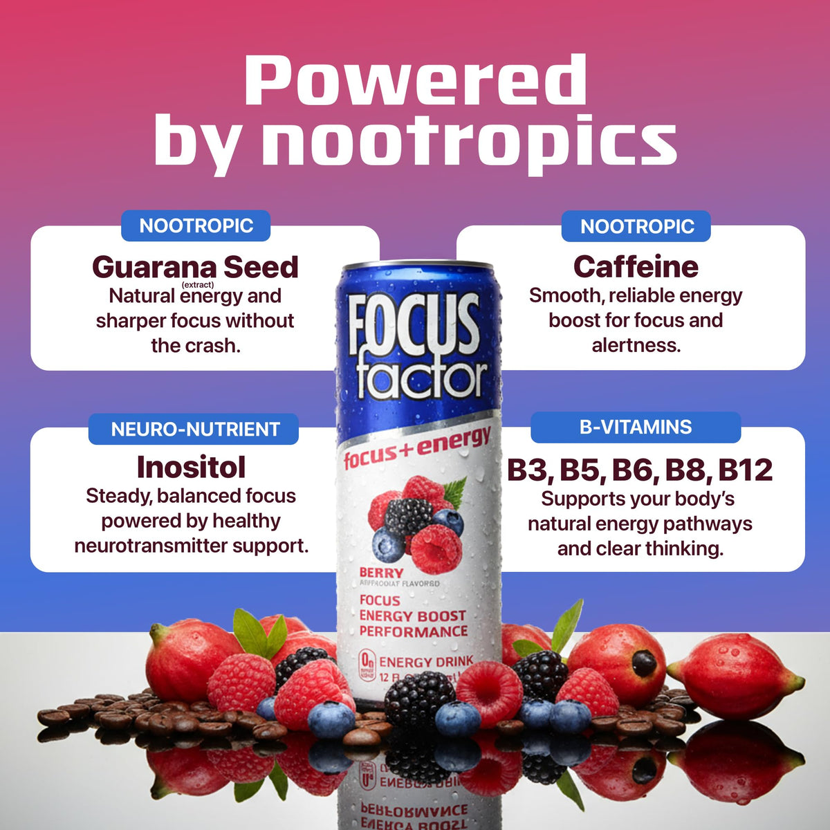 Focus Factor Energy Drink - 12 x 355ml Cans (Berry Flavour) - with Focus + Energy - Lightly Carbonated, Sugar Free, Low Calorie with Vitamin B6 & Vitamin B12 Focus FactorBuy Supplements Australia
