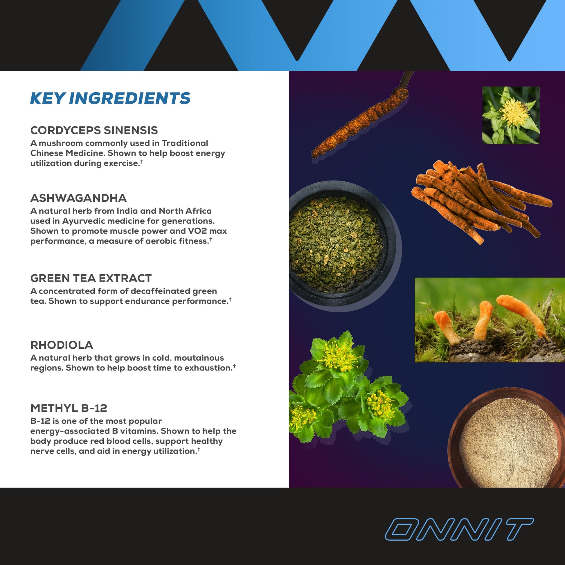 Onnit Shroom Tech SPORT: Clinically Studied Preworkout Supplement with Cordyceps ONNITBuy Supplements Australia