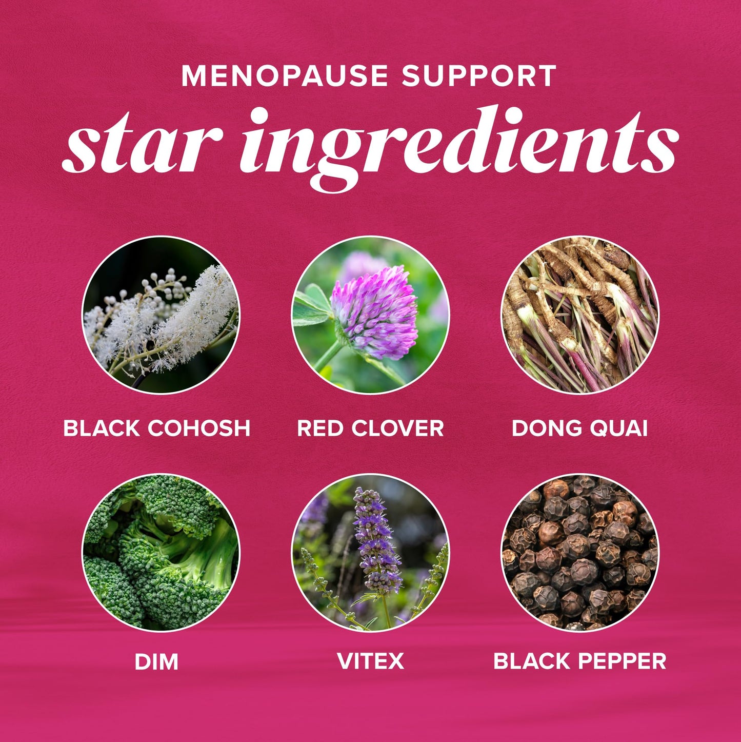 Menopause Vitamins Beadlets with Black Cohosh, Red Clover & More | Hot Flashes, Night Sweats & Mood Support | Menopause Supplements for Women with Dong Quai, Chaste Tree Berry & DIM | Non-GMO 30ct SMNutritionBuy Supplements Australia