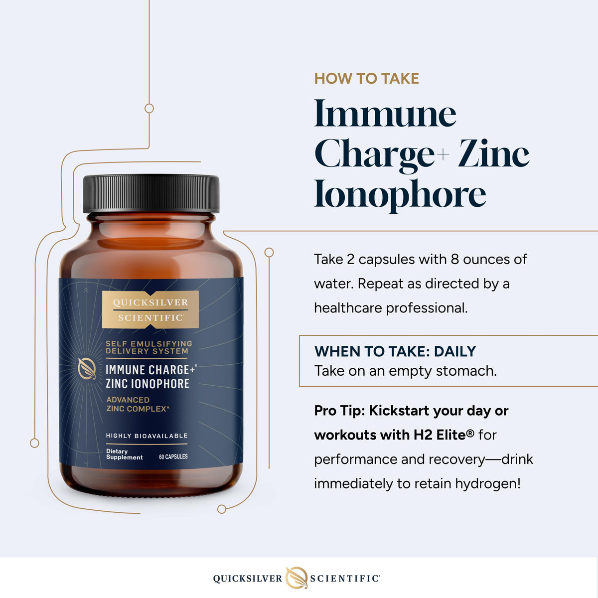 Quicksilver Scientific Immune Charge+ Zinc Ionophore - Zinc Supplement Complexed with Quercetin, Luteolin, Hesperetin Immune + GI Support (60 Capsules) Quicksilver ScientificBuy Supplements Australia