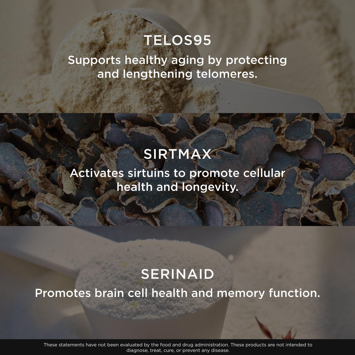 The Genius Brand Genius Eternal - Cellular Repair Supplement for Daily Clarity - Supports Brain Health, Endurance, Energy, Focus, Memory & Vitality - Non-GMO - 60 Veggie Capsules The Genius BrandBuy Supplements Australia