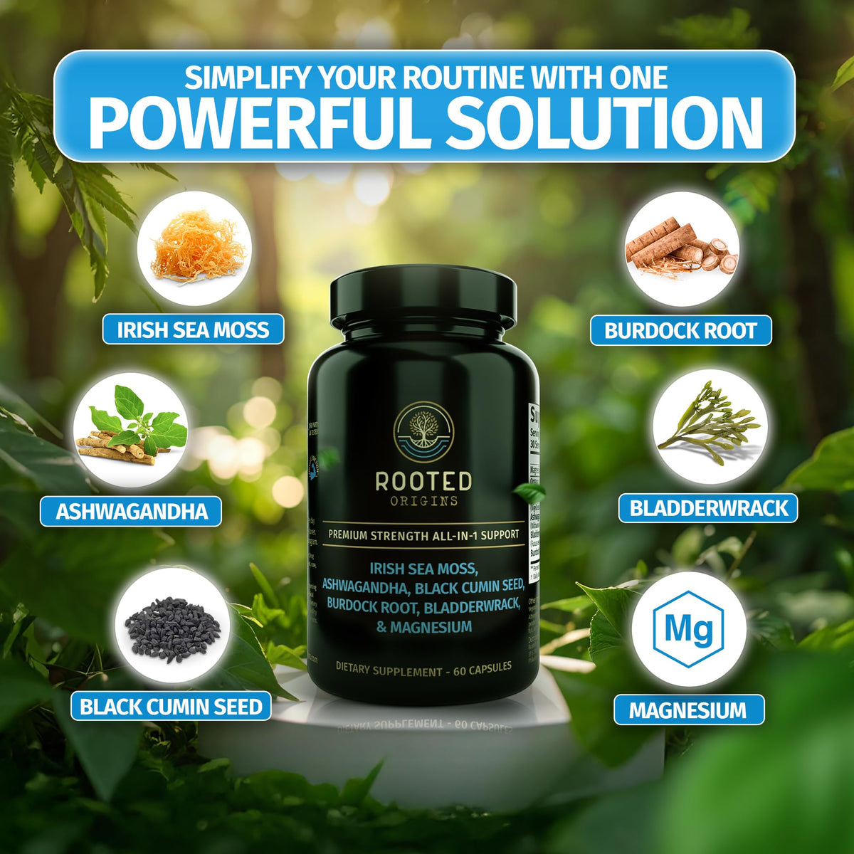 Rooted Origins Sea Moss Capsules – Irish Sea Moss Advanced, Magnesium, Ashwaghanda, Black Seed Oil, Burdock Root & Bladderwrack – Immune Support, Gut Health, Energy, & More – 60 Capsules Rooted OriginsBuy Supplements Australia