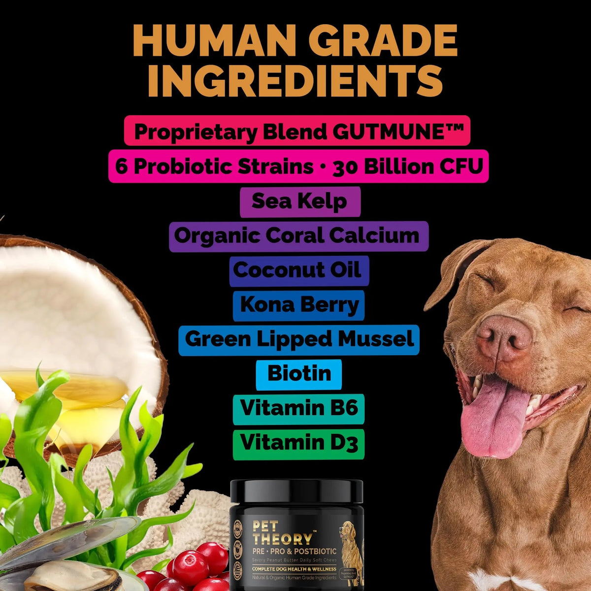 Pet Theory Probiotics for Dogs. Dog Digestive Health-Pre Pro and Postbiotic Combination-Pet Supplements for Gut Health-Supports Digestion, Boost Immunity-100CT Soft Chews Pet TheoryBuy Supplements Australia