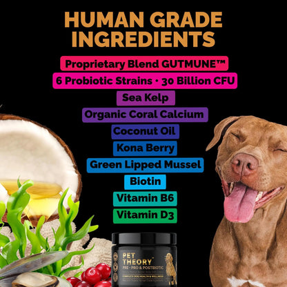 Pet Theory Probiotics for Dogs. Dog Digestive Health-Pre Pro and Postbiotic Combination-Pet Supplements for Gut Health-Supports Digestion, Boost Immunity-100CT Soft Chews Pet TheoryBuy Supplements Australia