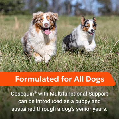 Nutramax Cosequin Joint Health Supplement with Multifunctional Support for Dogs, Soft Chews with Glucosamine, Chondroitin, Omega-3s, and Postbiotics, 90 Count Nutramax LaboratoriesBuy Supplements Australia