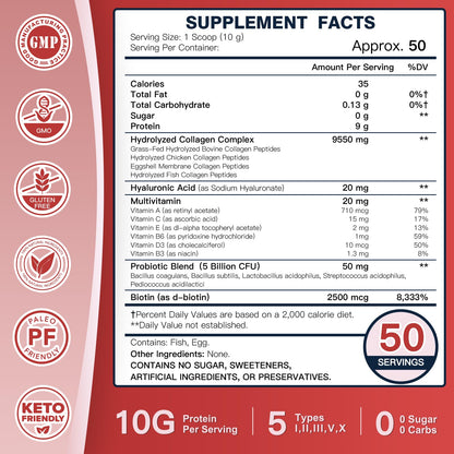DRFOSTER Multi-Collagen-Peptide-Powder with Probiotics, 50 Servings of Hydrolyzed Collagen Peptides with Hyaluronic Acid, Biotin & Multivitamins - Supports Skin, Hair, Nails Health DRFOSTER buy supplements Au
