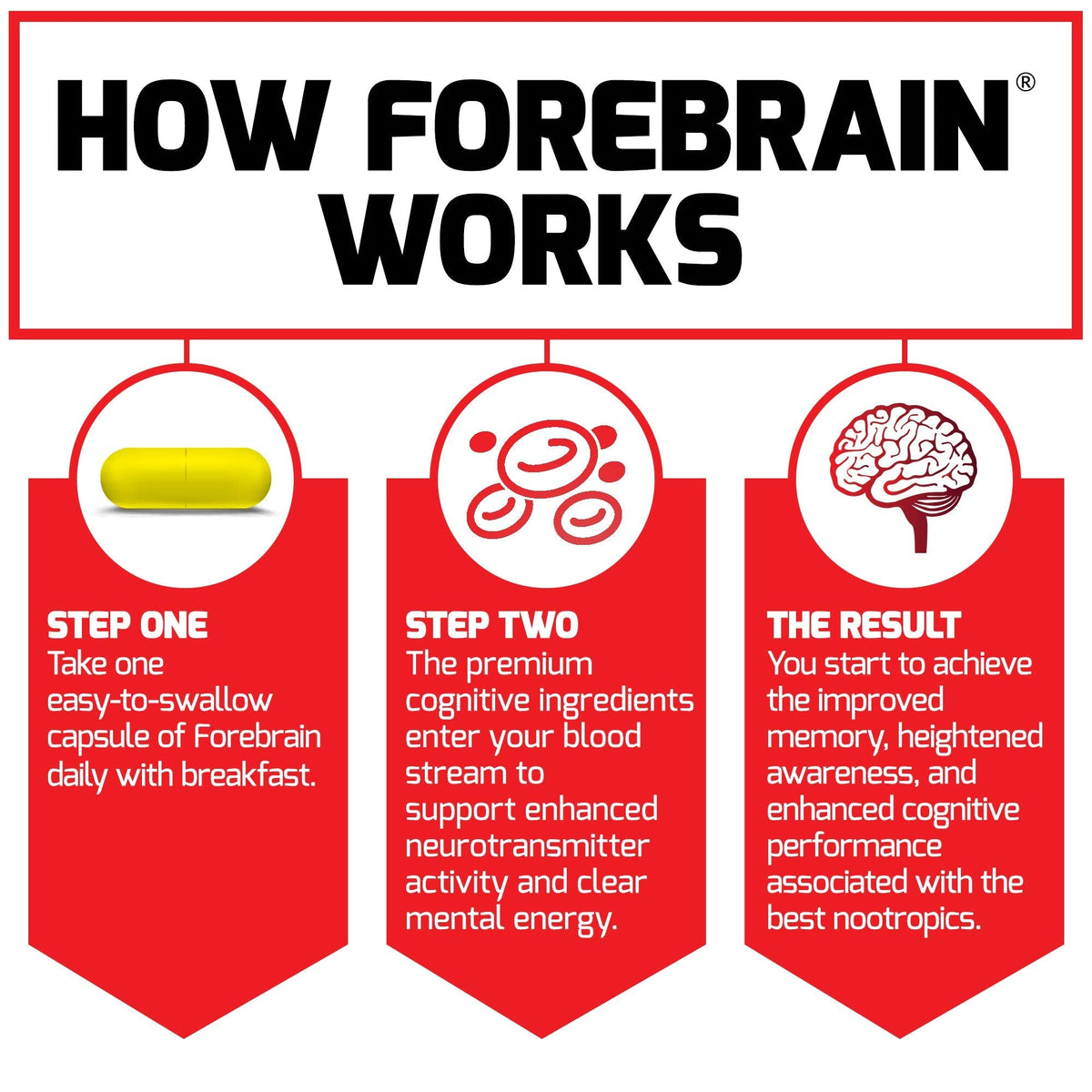 Force Factor Forebrain Nootropic Brain Supplement to Improve Memory, Boost Focus, Increase Mental Energy, and Support Brain Health with Caffeine, Bacopa, and Huperzine A, 30 Capsules Force FactorBuy Supplements Australia