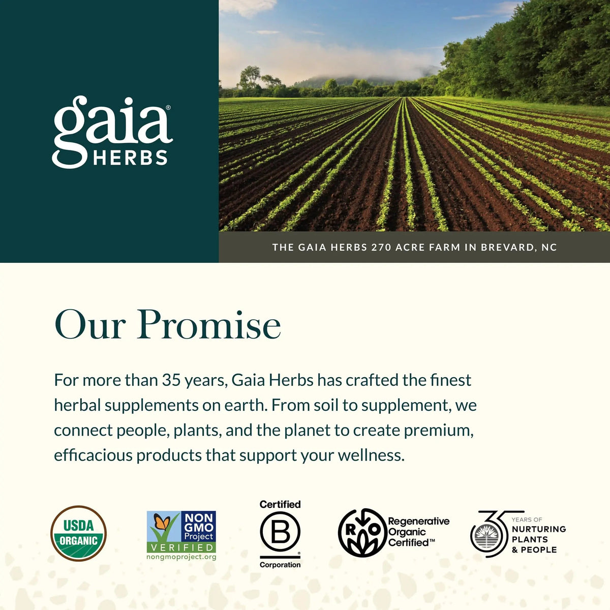 Gaia Herbs Sauerkraut Postbiotic - Gut Health & Immune Support Supplement* - Made with Fermented Sauerkraut - Free from Dairy, Soy & Gluten - 60 Vegan Liquid Phyto-Caps (30 Servings) Gaia HerbsBuy Supplements Australia