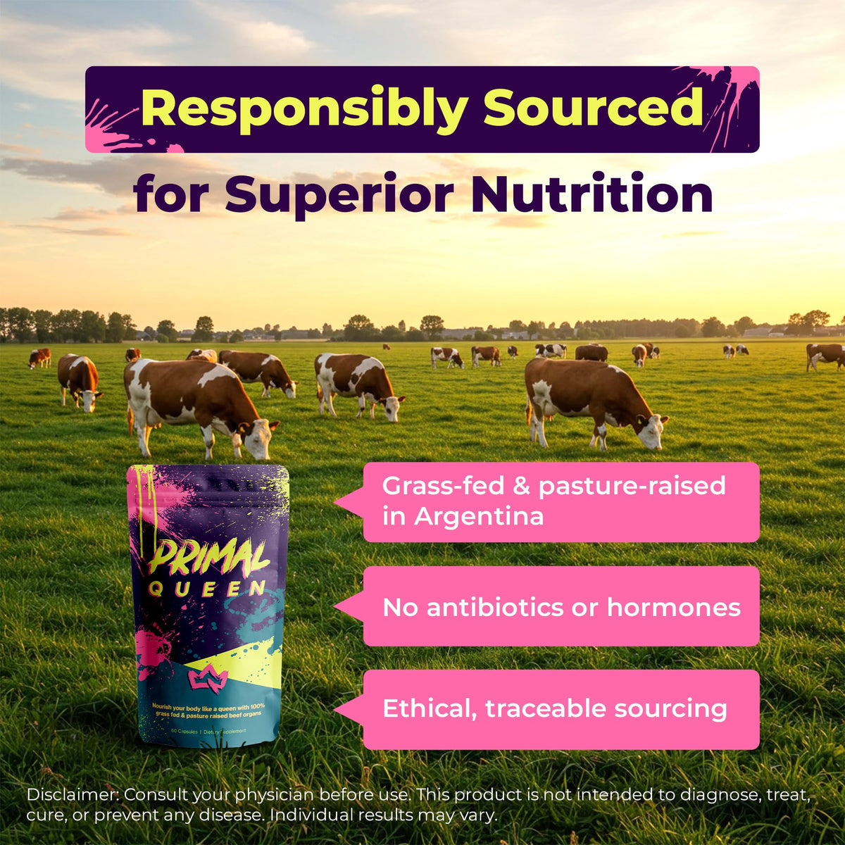 Primal Queen Female-Optimized Beef Organ Superfood Supplement (Beef Liver, Kidney, Heart, & 3 More) - 100% Grass Fed, Pasture Raised - 3rd Party & Clinically Tested Primal QueenBuy Supplements Australia