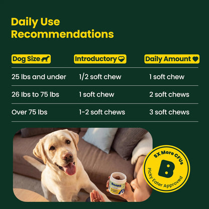 Boops Pets Probiotics for Dogs – 30 Billion CFU with Pre, Postbiotics & Digestive Enzymes – Supports Gut Health, Immunity, Loose Stools & Allergies – Filet Mignon Flavor – Vet Formulated – 60 Chews Boops PetsBuy Supplements Australia