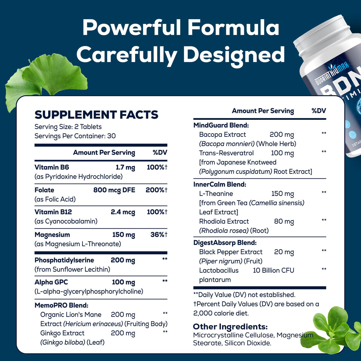 Nootropic Brain Supplement for Memory and Focus – BDNF Optimizer – Cognitive, Mental Clarity & Mood – High Absorption – Organic Lion's Mane, L-Theanine, Ginkgo Biloba & Alpha GPC – 60 Tablets QuorinthiumaxBuy Supplements Australia