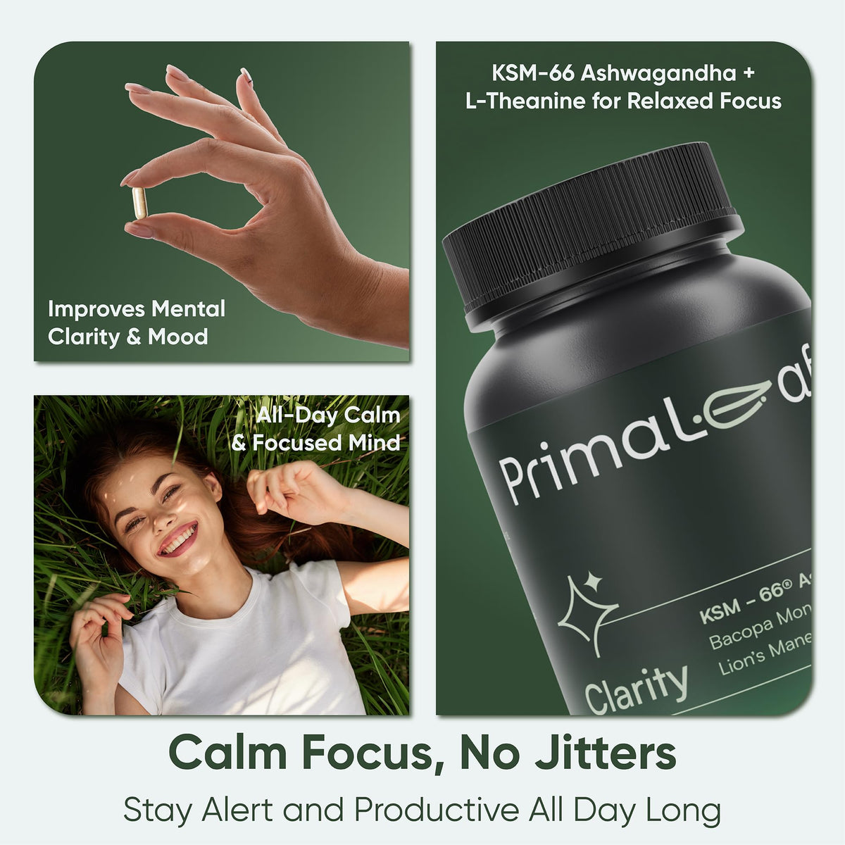PrimaLeaf Clarity Nootropics Brain Supplement for Focus, Memory, & Stress Relief | Natural Nootropic with KSM66 Ashwagandha, Lions Mane, Bacopa, L Theanine | Cognitive & Mood Support | 60 Veg Capsules PrimaLeafBuy Supplements Australia