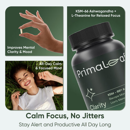 PrimaLeaf Clarity Nootropics Brain Supplement for Focus, Memory, & Stress Relief | Natural Nootropic with KSM66 Ashwagandha, Lions Mane, Bacopa, L Theanine | Cognitive & Mood Support | 60 Veg Capsules PrimaLeafBuy Supplements Australia